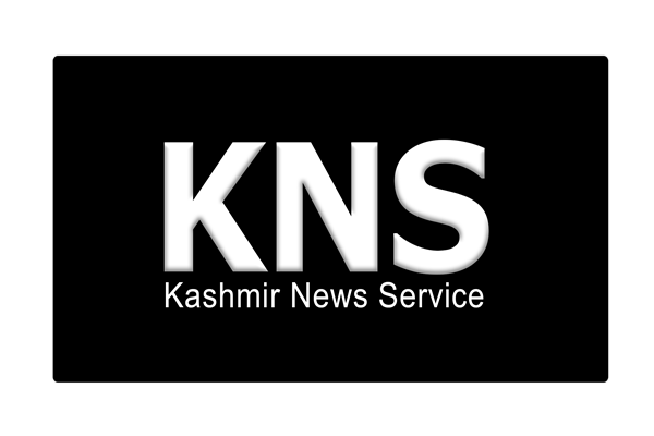 European diplomats visit Kashmir to check India’s loosening of clampdown