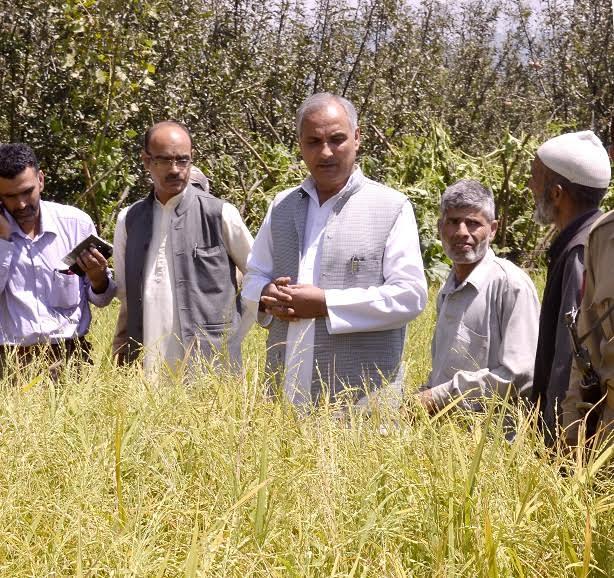 Veeri takes stock of crop damages due to hail storm in Anantnag, assures relief to affected families