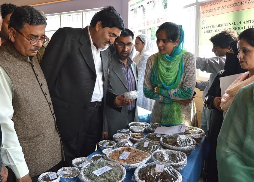 Main aim of festival to integrate forest, society and economy: Padder