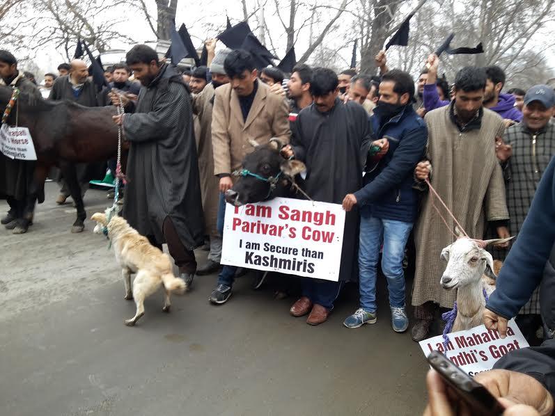 On HR day, Er Rashid protests in typical style