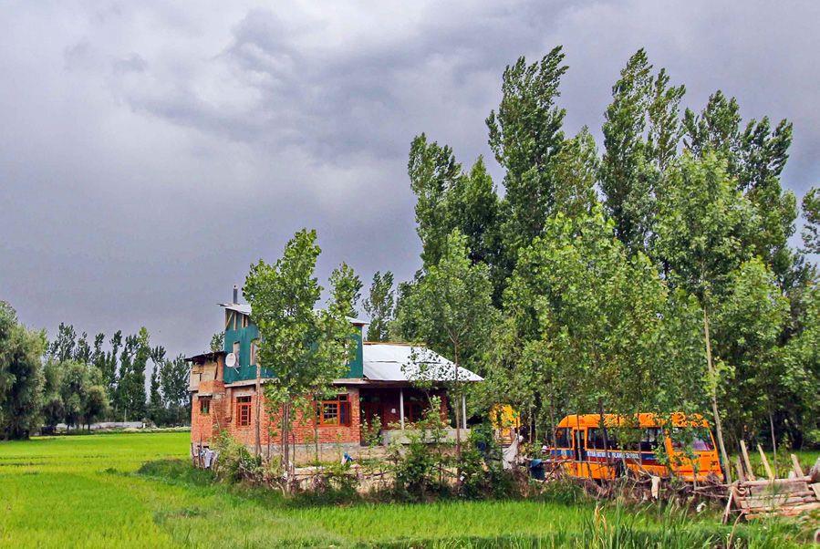 Despite ban, agriculture land conversion goes on in Pulwama