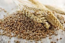 Centre sets up task force to check supply of substandard rice to JK