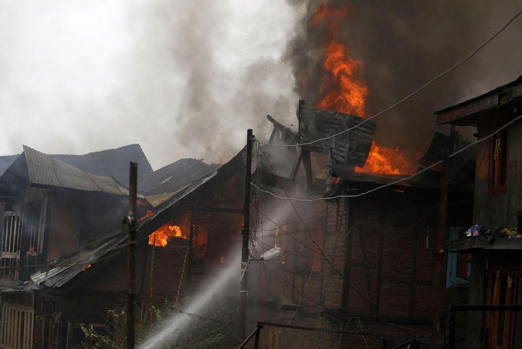 Dalgate blaze;