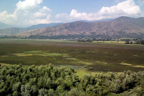 Wetland encroachment: Flagrant violations of HC, House Committee directions go unnoticed