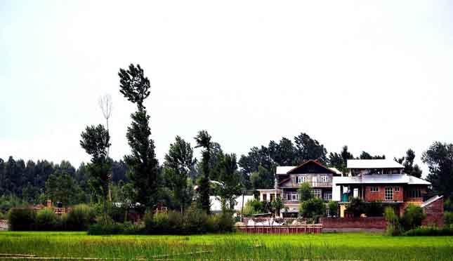Agri conversion unabated in Kashmir