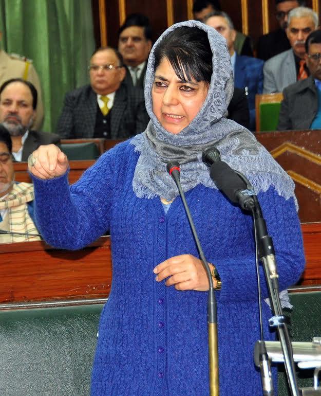 Mehbooba announces setting up of SITs to probe summer killings