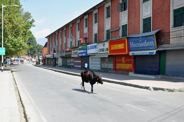 People suffer as transporters 72-hour long strike