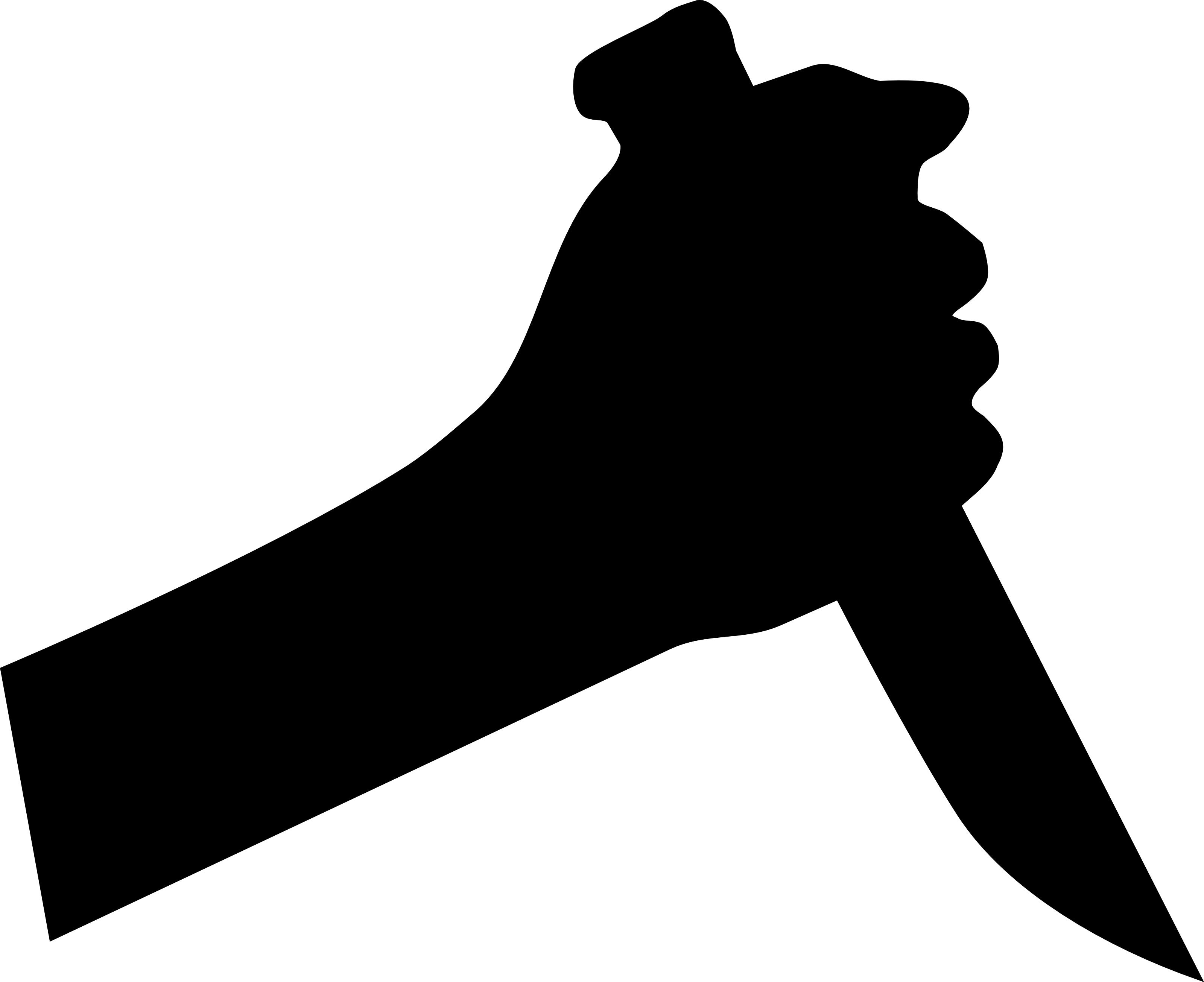 Mentally challenged youth killed parents and a relative at Doda