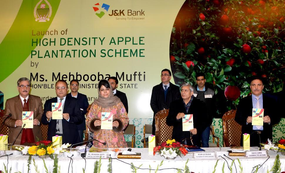 CM launches High Density Apple Plantation Scheme
