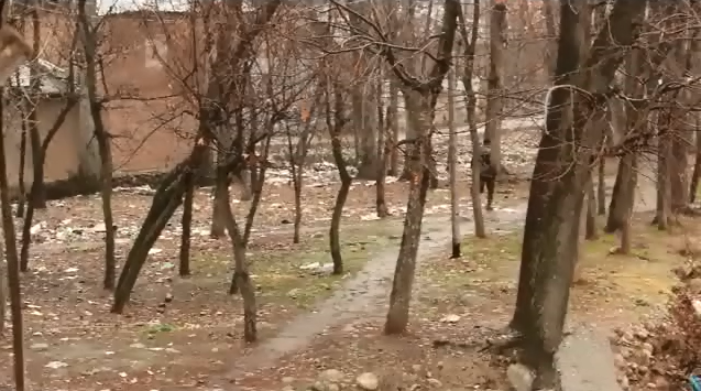 Clashes in Kulgam village as protesters thwart anti-militancy operation