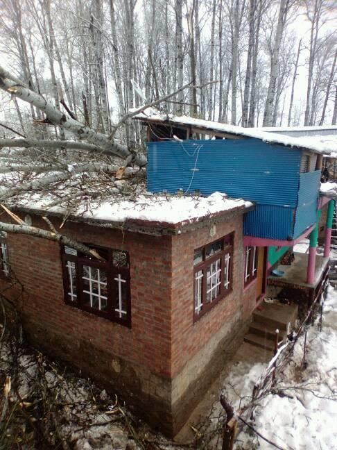 Dozen houses damaged in Langate