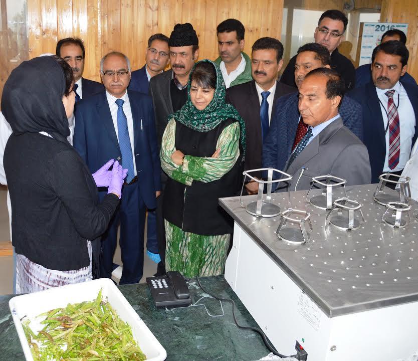 CM inaugurates Indo-Dutch Orchard, lays foundation of girls hostel at SKUAST