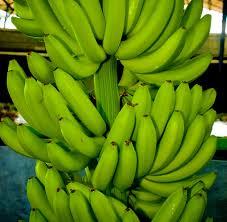 Traders use toxic chemicals to ripen fruits, endanger peoples’ lives in JK