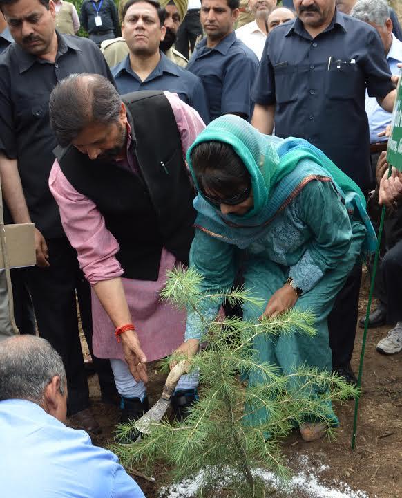 CM kickstarts plantation drive from Zabarwan hills