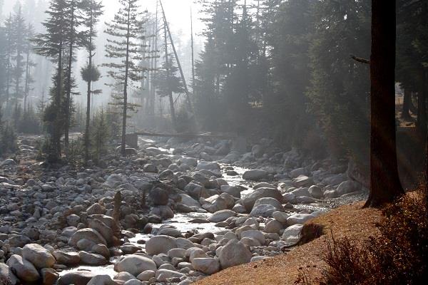 Langate residents accuse Beacon of damaging forests