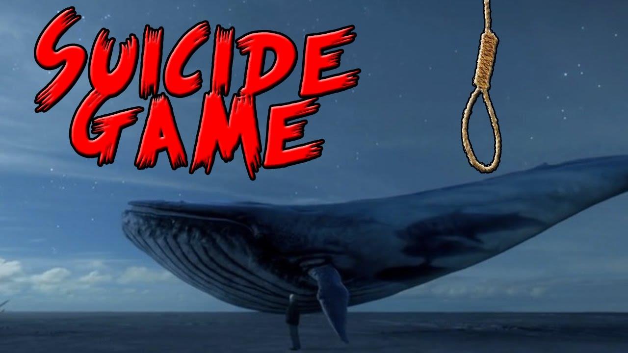 Start rigorous awareness campaign on ‘Blue Whale suicide game: Edu deptt to school Heads