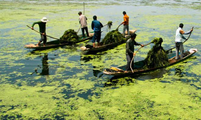 Wullar Lake Conservation: