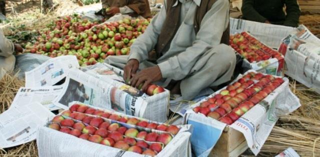 Big Relief for Kashmiri Apple growers: 6% commission won’t be charged