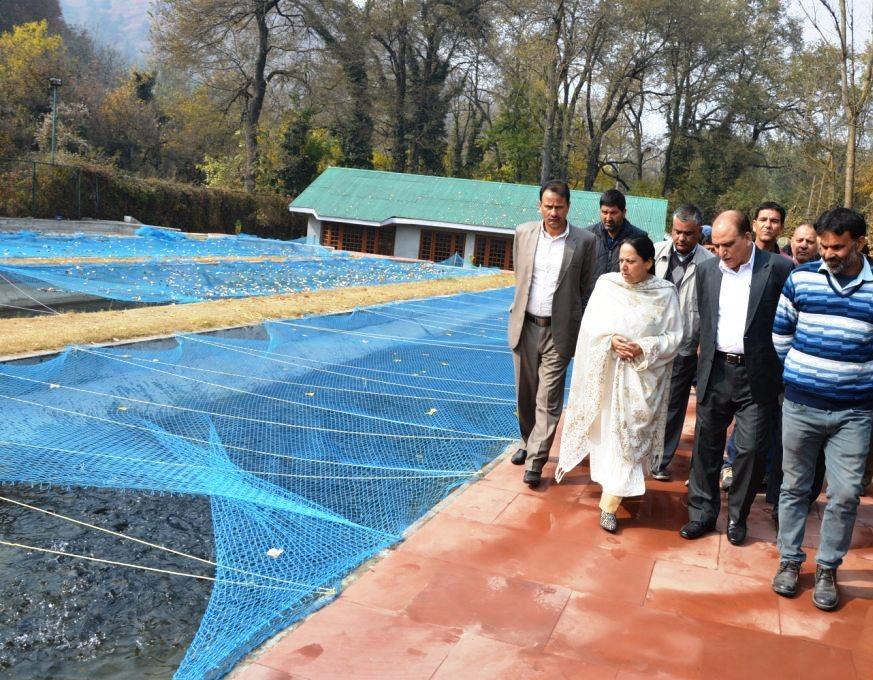 Traditional fish markets to be developed under Smart City proposal: Asiea Naqash