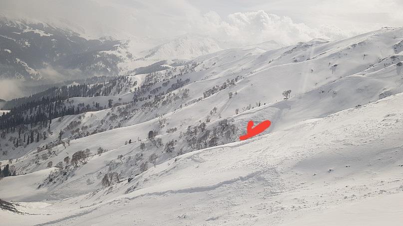 Russian skier dies, four others recued after avalanche struck Gulmarg: Police