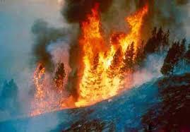 Experts sound respiratory alarm after massive fire in forests