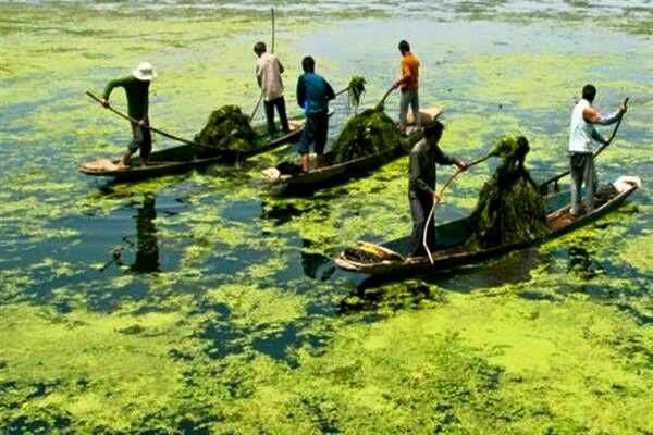 ‘Despite spending crores over the years, Govt fails to restore pristine glory of Dal lake’