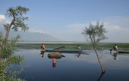 Is Kashmir moving towards 2014 like situation