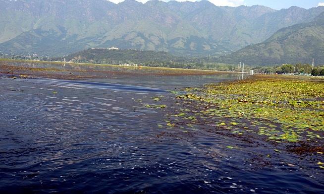 Governor reviews Dal Lake de-weeding-orders tough measures for sewage control