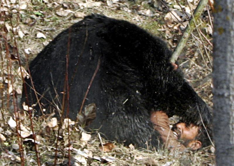 Man-animal conflict increases