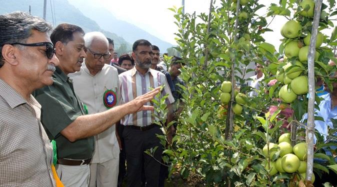 Governor inaugurates First Harvest of High Density Apples at SKUAST-K