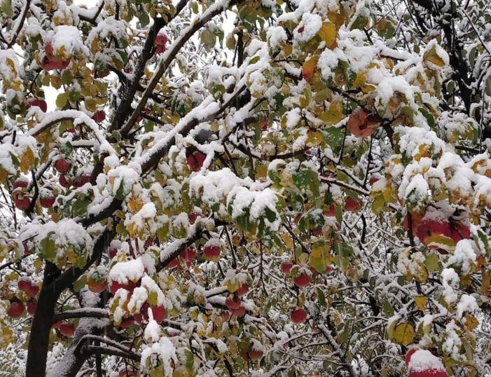 Few inches of snow collapses public utility delivery services across Kashmir