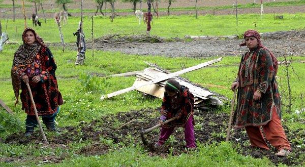 JK loses agriculture sector