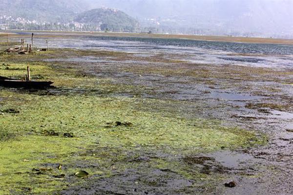 How successive Govt’s deteriorate Dal Lake