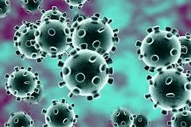 Govt all set to tackle Coronavirus, no need to panic: Atal Dullo