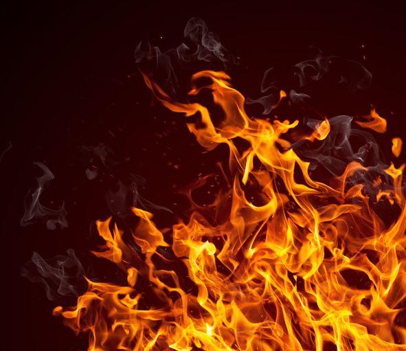 Army officer dies while saving dog's life in a fire incident in North Kashmir