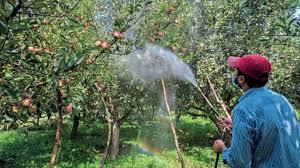 Kashmir orchadists demand smooth supply of pesticides, fertilizers