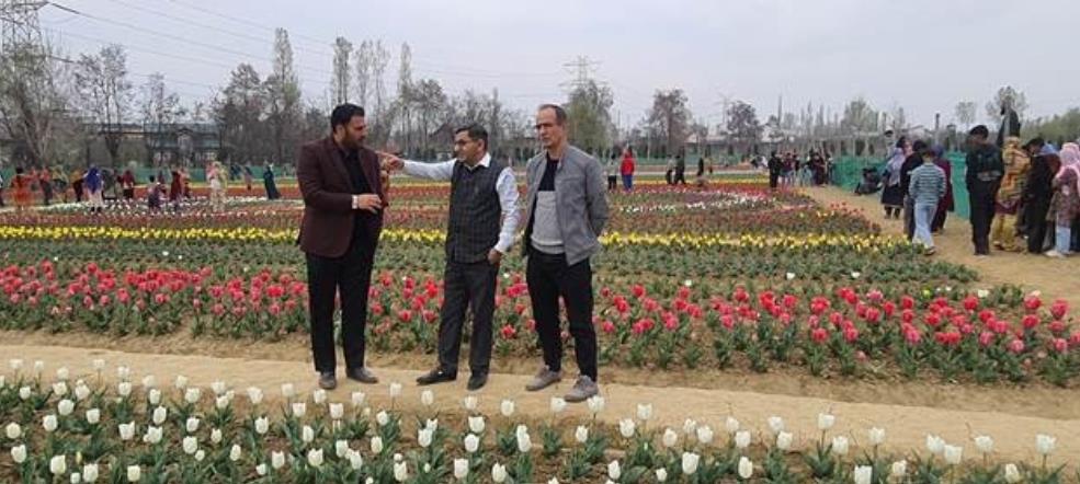 IIIM Field Station Bonera sets to Indigenize Tulips: Scientists aim at Import Substitution, Viksit Farmers
