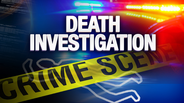 Two kids found suspiciously dead in Kokernag village