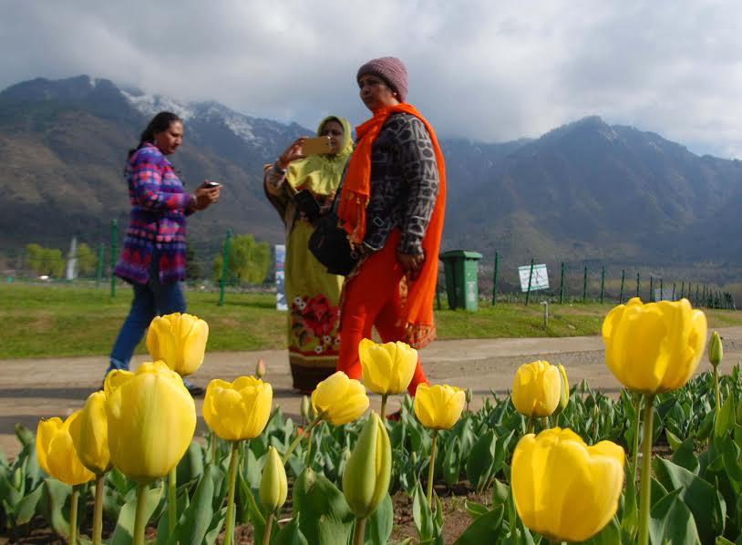 Tulip Garden thrown open for visitors