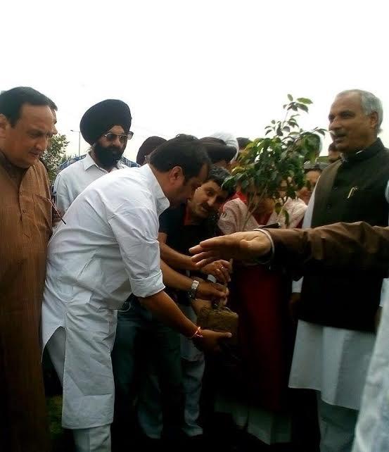 PDP launches plantation drive in memory of Late Mufti Sayeed