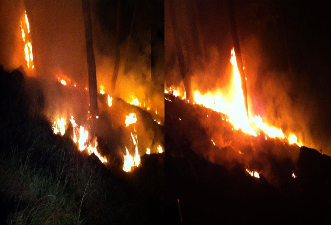 Massive fire engulfs forest in Kupwara