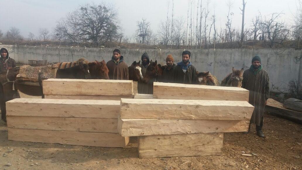 Budgam Police arrest six timber smugglers, seize seven horses