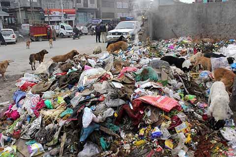 Kupwara town reels under garbage