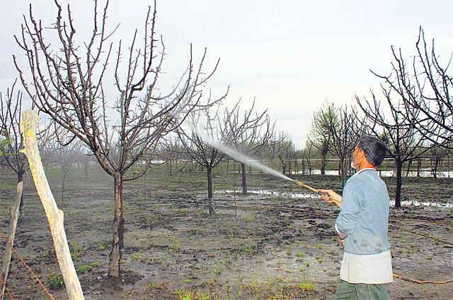 Pesticide outlets raided: 10097 kgs, of misbranded Dithane
