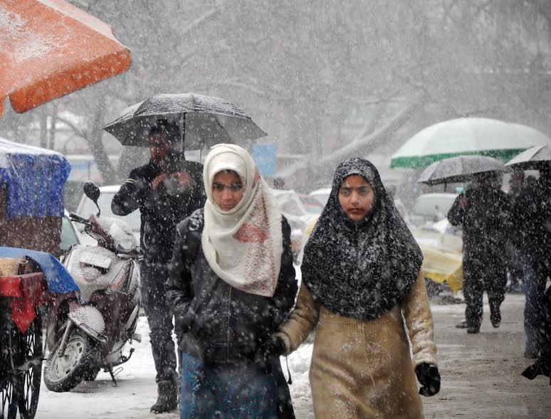 Snowstorm devastates many structures