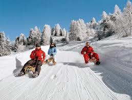 Sports Council is organizing 15 days Snow Skiing Basic Course