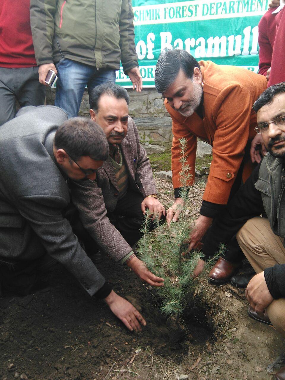 DDC Inaugurates Plantation Drive in Baramulla