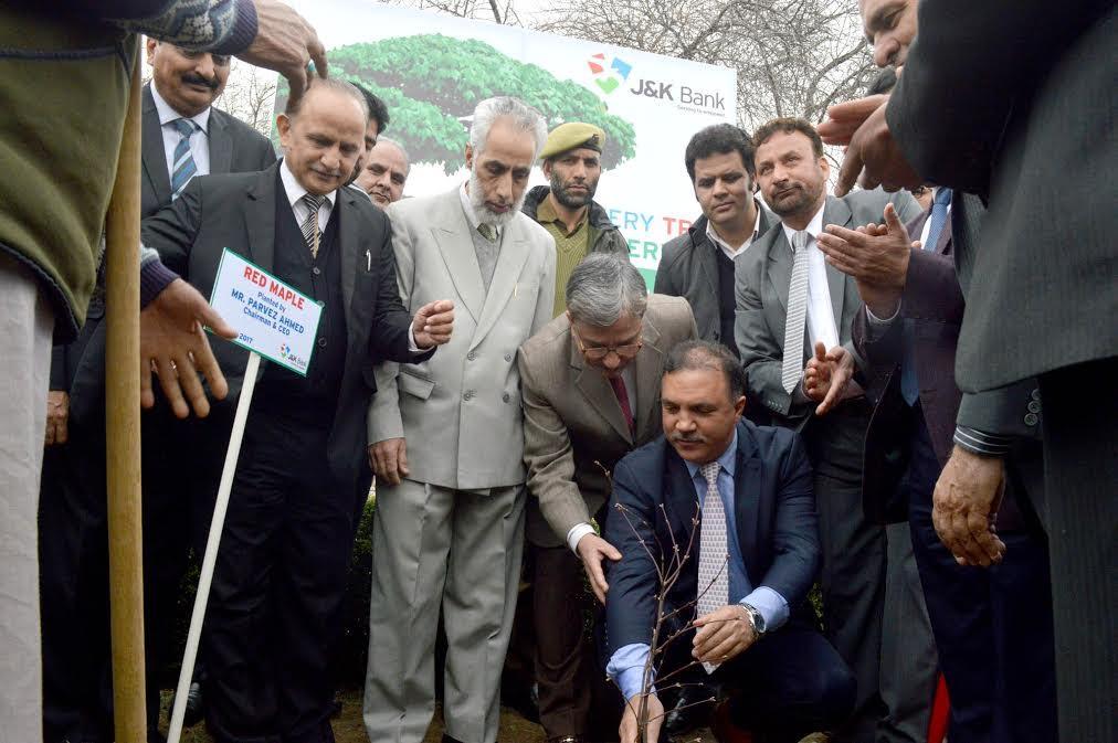 JK Bank observes World Arbor day across valley