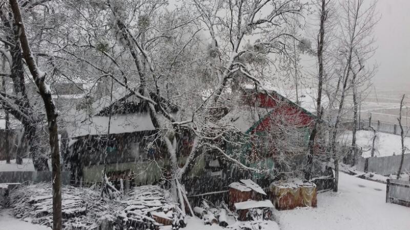 Schools, colleges closed in Valley till Monday: Edu Min
