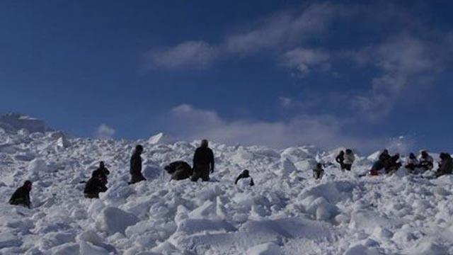 Avalanche in Batalik sector;